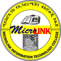 MicroLink  Business And Information Technology